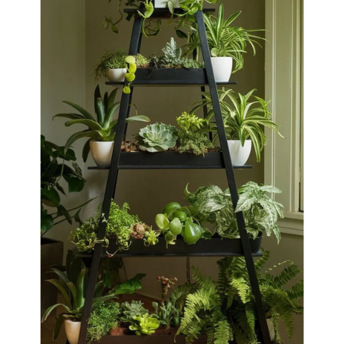 Mini House Plants Full Set
