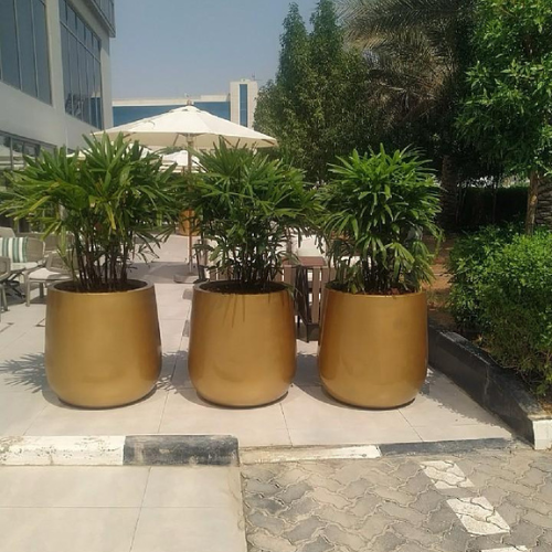 3-Piece Rhapis Excelsa Combo in Gold Fiberglass Pots