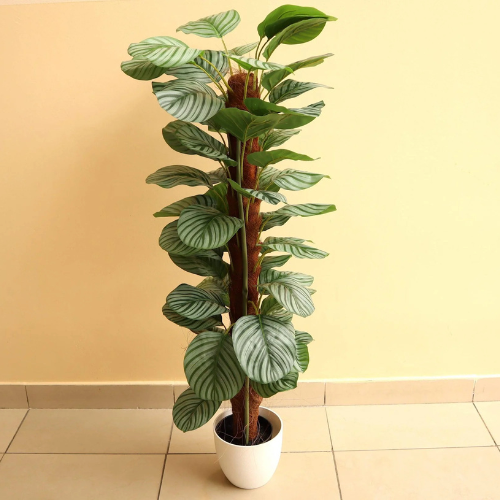 Artificial Calathea Orbifolia Plant