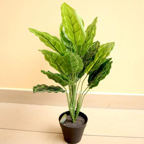 Artificial Calathea Plant 50cm 