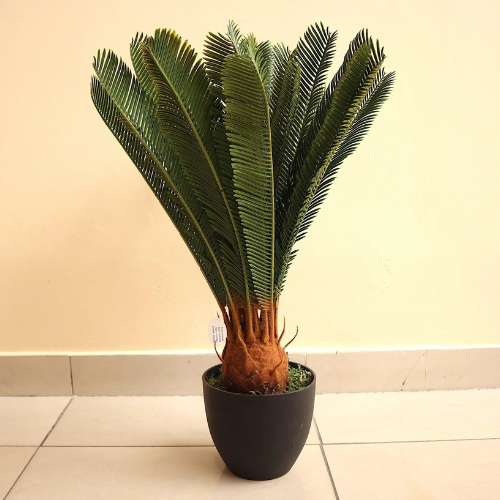 Artificial Cycas Plant 