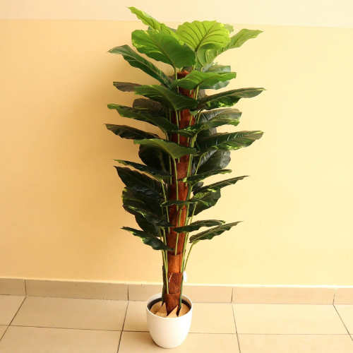 Artificial Money Plant 