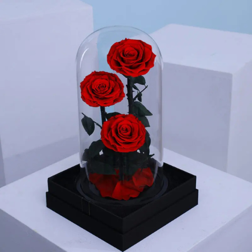 Red Trio Forever Rose Bouquet Gift
