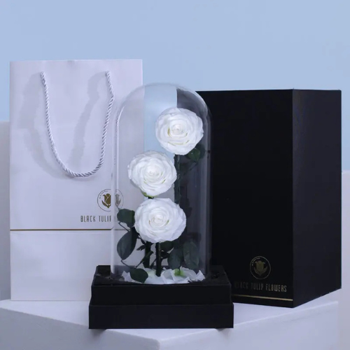 Forever White Rose Trio for Gift