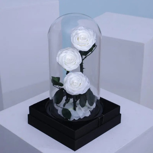Forever White Rose Trio for Gift