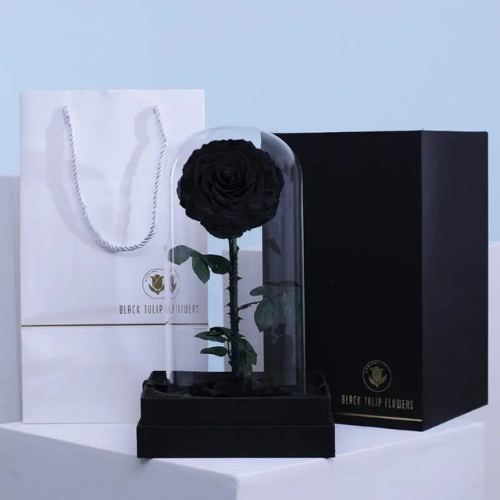 Single Black Forever Rose Gift