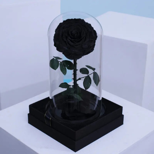 Single Black Forever Rose Gift