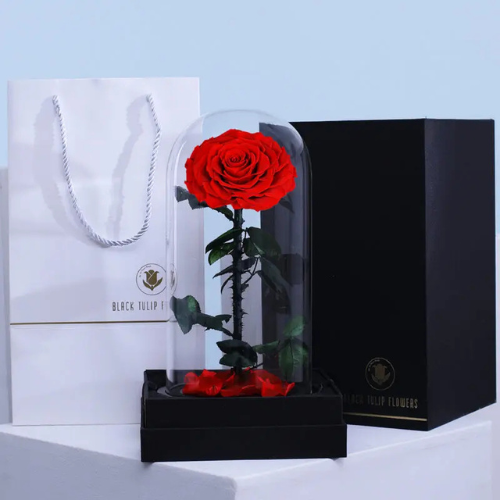 Single Red Forever Rose Gift
