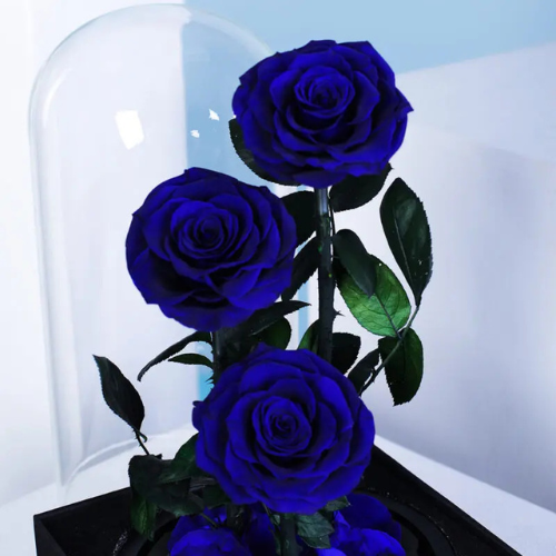 Premium Blue Forever Rose Bouquet