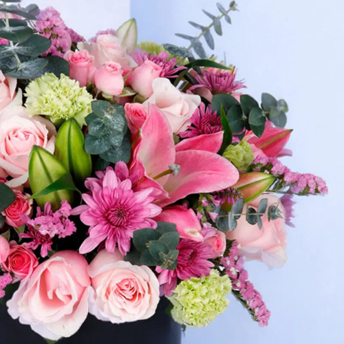 Premium Bloom Carnival Flower Box