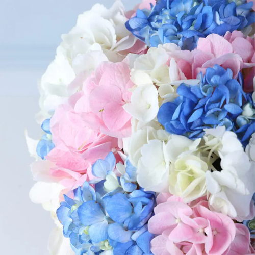 Bloom Aura Floral Arrangement
