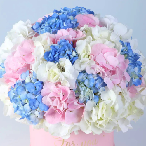 Bloom Aura Floral Arrangement