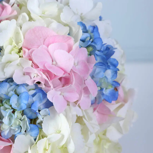Bloom Aura Floral Arrangement