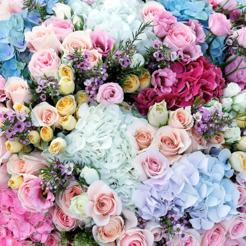 Rosy Elegance Fresh Flower Bouquet