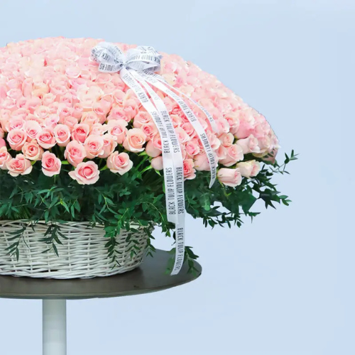 Grand 500 Pink Roses Luxury Floral Display