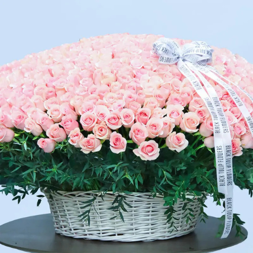 Grand 500 Pink Roses Luxury Floral Display