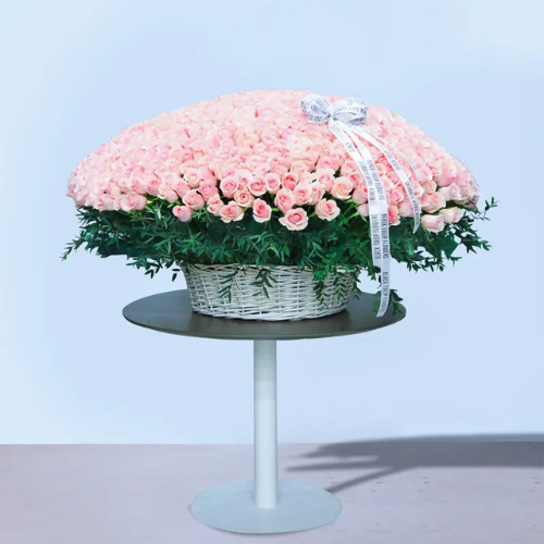 Grand 500 Pink Roses Luxury Floral Display