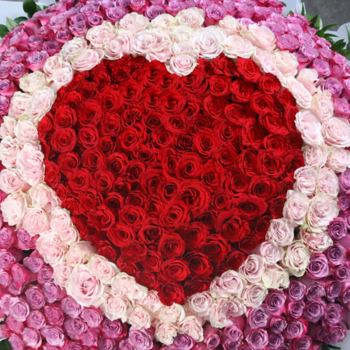 Premium Stunning Large Rose Bouquet