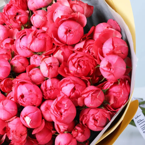 20 Bombastic Pink Rose Flower Bouquet