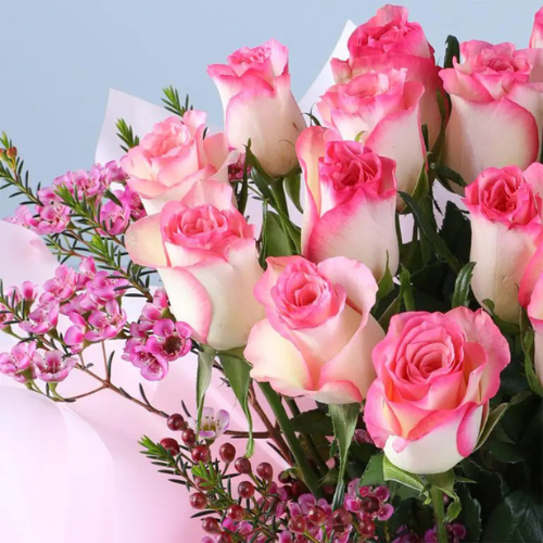 Premium Double Pink Roses Gift Box