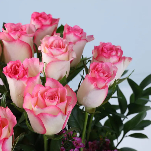 Premium Double Pink Roses Gift Box