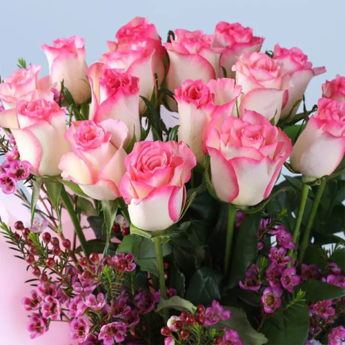Premium Double Pink Roses Gift Box