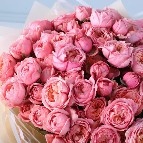 Premium Pink Bombastic Rose Bouquet