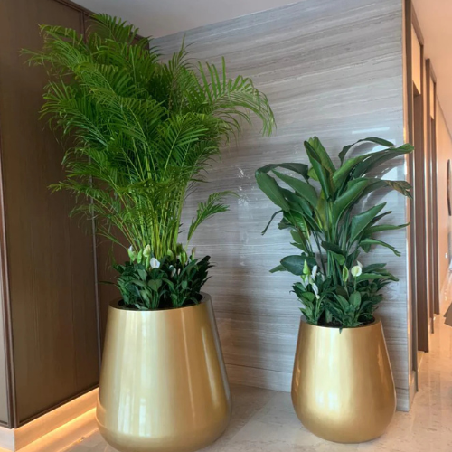 Combo Bundle of 12 Plants | Peace Lily, Areca Palm & Bird of Paradise in Ceramic Pots