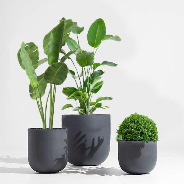 Round Fiber Plant Pots Small, Medium and Large