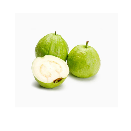 Guava Tree - Psidium Guajava