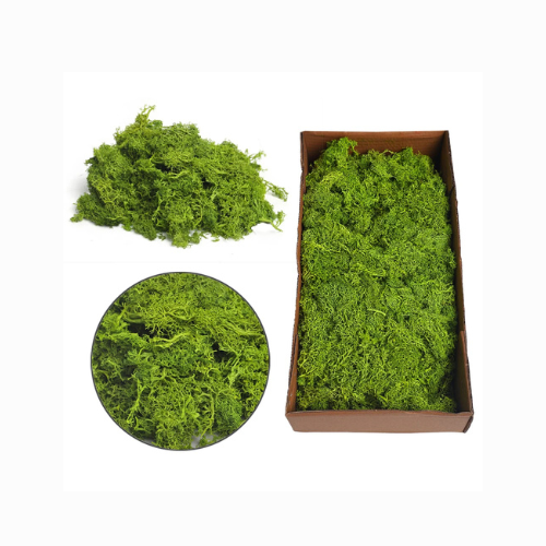 Preserved Fresh Moss 1 Box