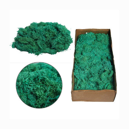Preserved Fresh Moss 1 Box