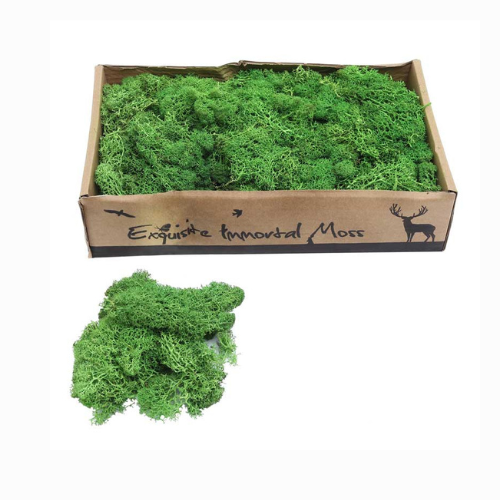 Eternal Life Preserved Moss Grass Wall