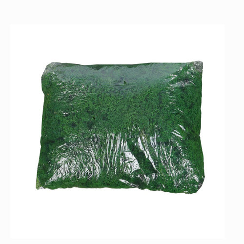 Natural Preserved Fresh Moss
