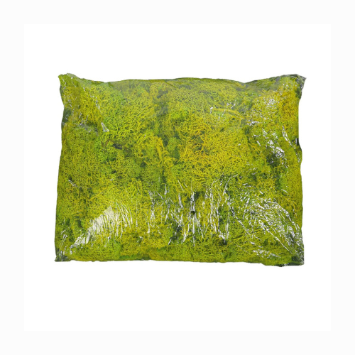 Natural Preserved Fresh Moss