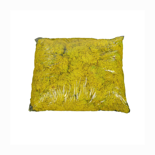 Natural Preserved Fresh Moss