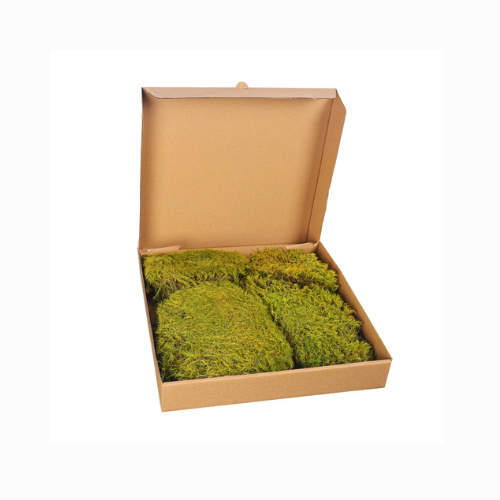 Preserved Dried Moss Pieces