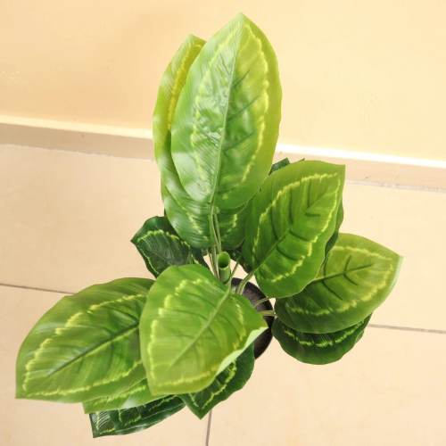 Artificial Calathea Plant 50cm 