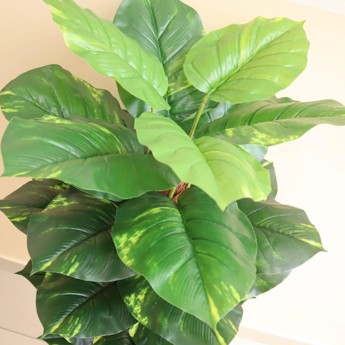 Artificial Money Plant 