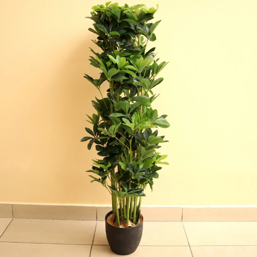 Artificial Schefflera Arboricola Plant