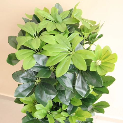 Artificial Schefflera Arboricola Plant