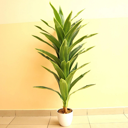 Artificial Dracaena Golden Coast Plant – 130cm
