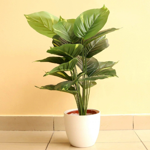 Artificial Calathea Green Indoor Plant (50cm)