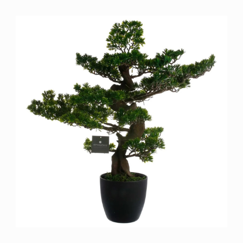 Artificial Bonsai Tree in Pots (80 x 54 x 80 cm)
