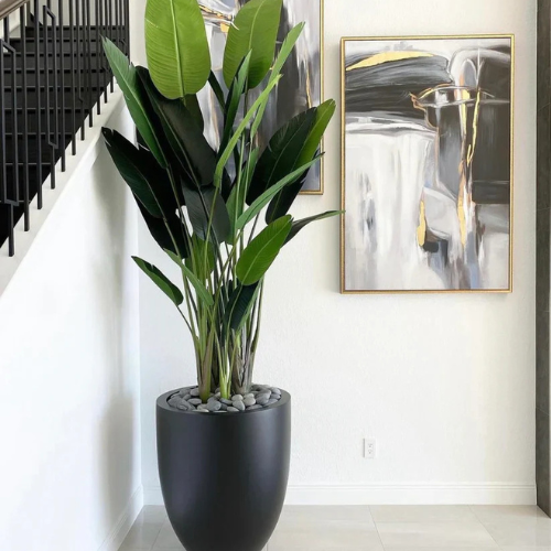 Buy Artificial Travellers Palm in Dubai UAE