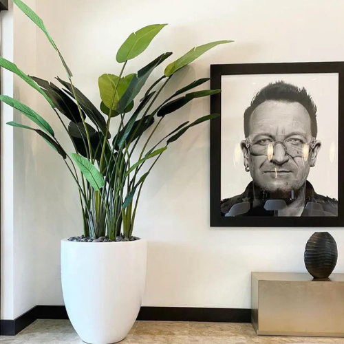 Buy Artificial Travellers Palm in Dubai UAE