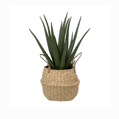 Artificial Aloe Vera Plant With Weaved Planter (24 x 37 cm)