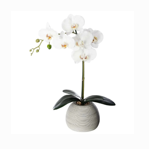 Artificial Orchid Plant With Cement Pot (34 x 16 x 52.5 cm)