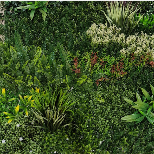 Mix Planting Green Wall (YMD 206) | Per Square Meter | 100x100 cm ...