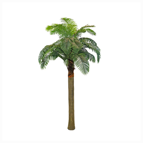 Tall Sizes Artificial Plam Trees 350 cm